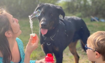 Justice pour Frost, un jeune Beauceron empoisonné avec du Molluscicide à Saint Pée sur Nivelle (64)