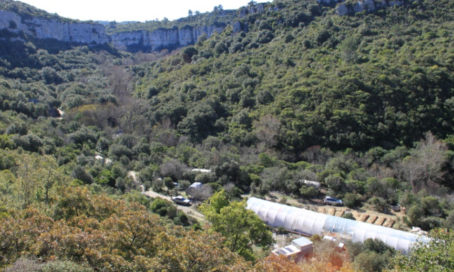 Sauvons les Balmes !