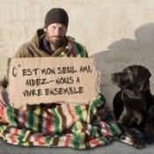 Non au kidnapping et à l'exécution de chiens sur Rennes !