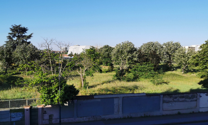 Sauvons les arbres de la Cartoucherie à Toulouse