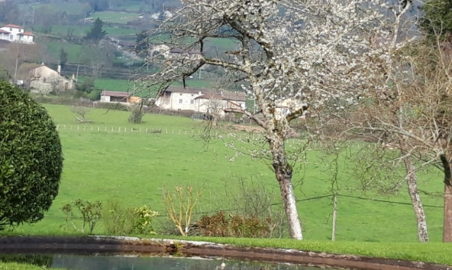 Allons plus loin pour sauver les professionnels du tourisme