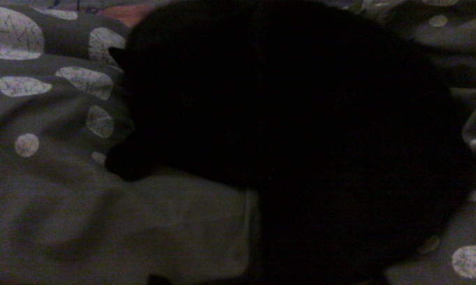 Soutien au défenseur de la cause animale et stop aux attaques en justice de Willy Schraen !