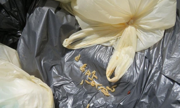 Non à la réduction des levées de nos bacs verts !