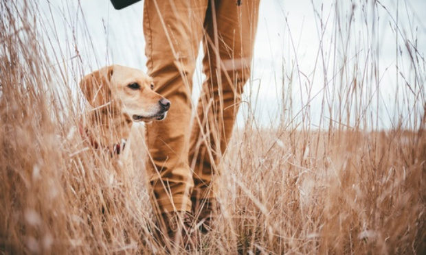 Contre une nouvelle taxe abusive