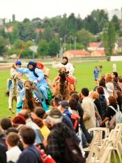 Pitié pour les dromadaires !