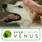 Mendicité et trafics d'animaux en ville