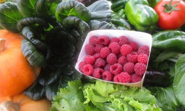 Produire bio et local pour mieux s'alimenter sur notre territoire