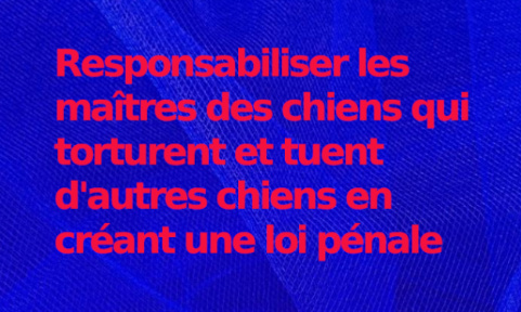 Faire voter une loi pour que les propriétaires des chiens qui torturent et tuent d'autres chiens soient reconnus responsables et soient jugés