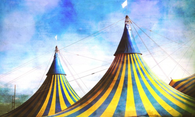 Interdire les cirques avec animaux à Rive-de-Gier(42)