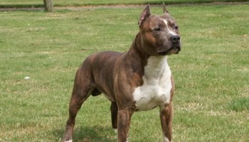 Tous le monde a le droit à une deuxième chance...