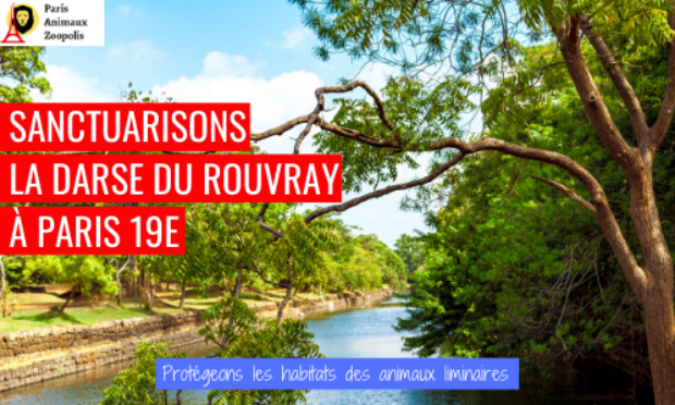 Sanctuarisons la darse du Rouvray, Paris 19ème !