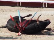 Ensemble arrêtons la tauromachie en France