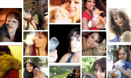 Nourrir, secourir les animaux...