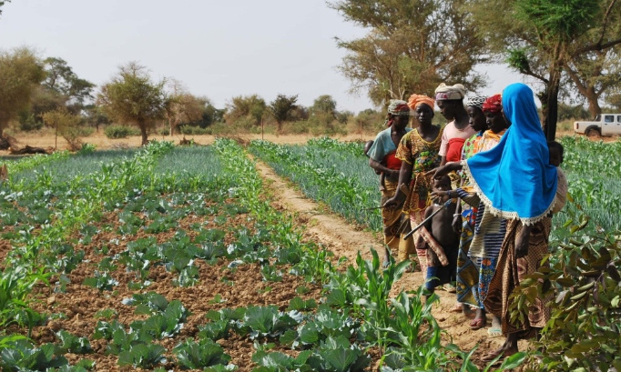 #StopFamine : Et si on faisait confiance aux Sahéliens pour résoudre leurs problèmes ?