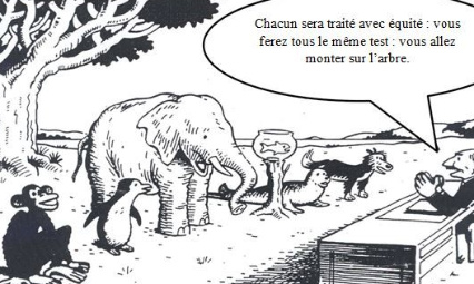 Maintien et Organisation des épreuves orales 2020 des agrégations internes