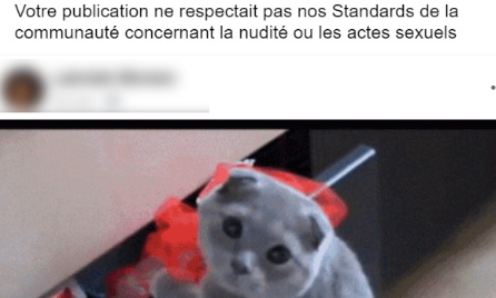 FACEBOOK, ENNEMI DES ANIMAUX ?