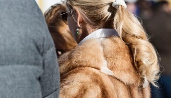 Ensemble demandons l'arrêt de la vente d'articles de fourrure sur le site LEBONCOIN