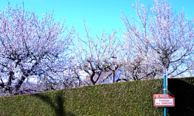 Ne touche pas à ma tranquillité et ma sécurité