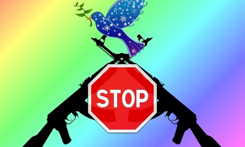 Réquisition des armes de chasse pour cause d'état d'urgence