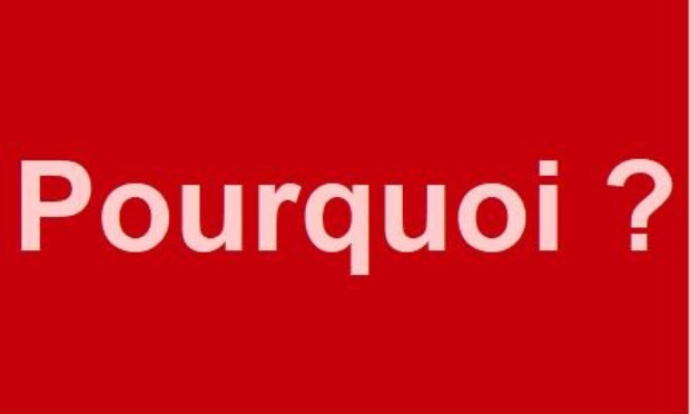 Pourquoi mettre des images choquantes dans les pétitions?