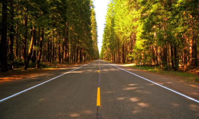 POUR la limitation de vitesse à 110km sur les autoroutes