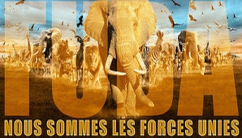 Révision du statut juridique des animaux !