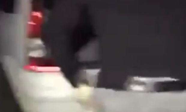 Vidéo du veau : Arrêter la violence envers les animaux