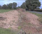 Contre l'arrachage des haies