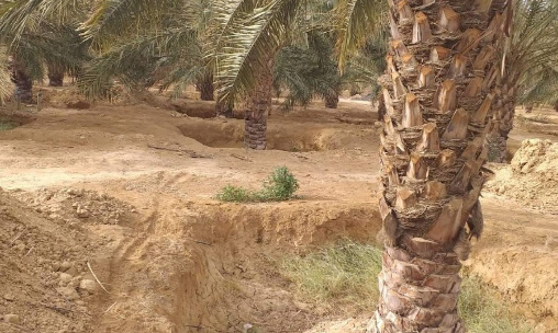 Enquête nationale sur les terres agricoles du domaine de l’Etat attribuées sous la forme de concession.