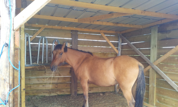 Destruction des abris pour chevaux sur la Pension sous décision de justice