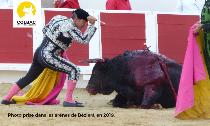DEMANDONS À L’HÔPITAL PUBLIC DE REFUSER L’ARGENT DES CORRIDAS !