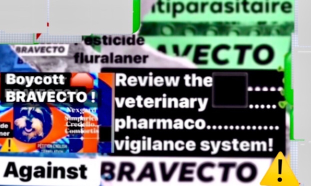⚠️URGENT! For Animal Protection: Remove BRAVECTO pest control containing pesticide! Improve the VETERINARY PHARMACOVIGILANCE system!