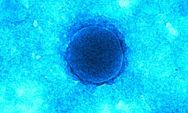 Je ne veux surtout pas du 