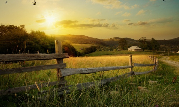 Bruit de la campagne : que les gens prennent leurs responsabilités et qu'ils assument leurs décisions et leurs actes.
