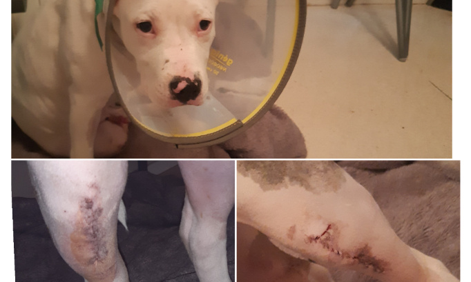 Une sanction exemplaire suite aux violences faites à Roméo