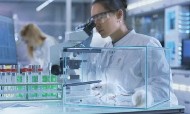 Annuler le décret de mars 2020 autorisant à vendre son animal de compagnie à un laboratoire