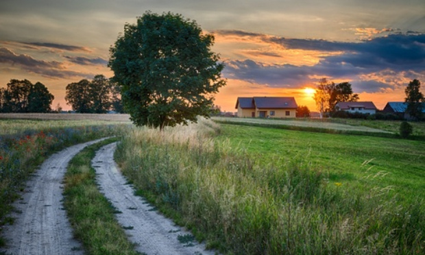 Non aux effaroucheurs à oiseaux trop bruyants