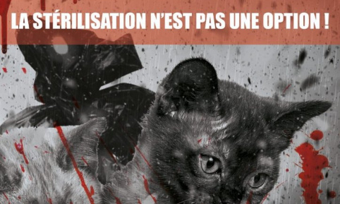 Pour la stérilisation obligatoire des animaux de compagnie