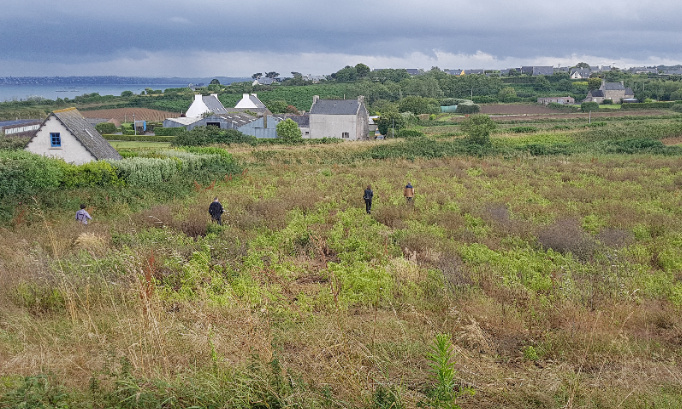 Roscoff : NON au massacre du paysage et au projet de lotissement !