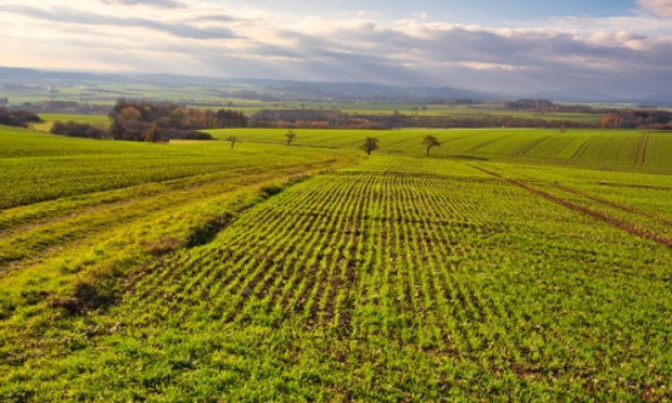 Stop aux nuisances sonores générées par l'entreprise Safadi