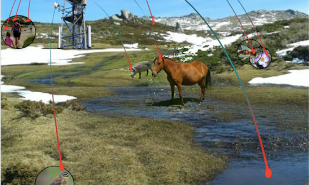 PAS D'ANTENNES 4G SUR LE PLATEAU DU CUSCIONU (Corse du Sud)