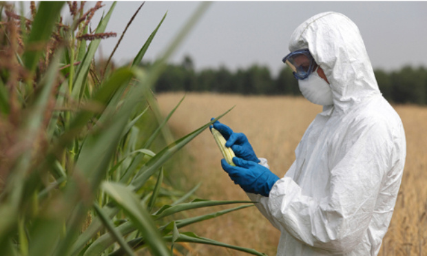 Signez pour obliger les multinationales à répondre de leurs actes !