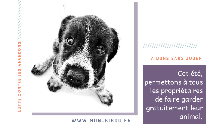 Aidons sans juger ! Limitons les abandons de l'été en permettant à tous les propriétaires de faire garder leur animal gratuitement.