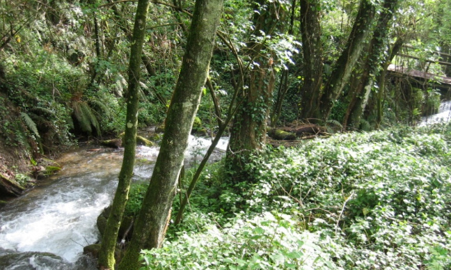 ENEL POWER GREEN non è green