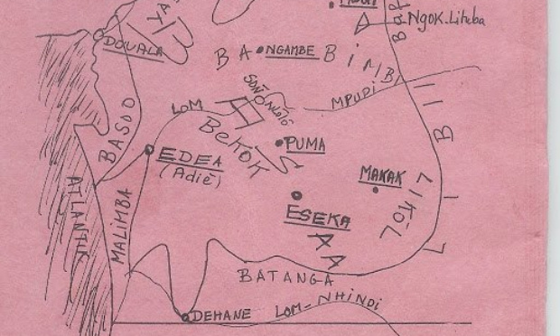 Appel de la dispora camerounaise contre le projet 