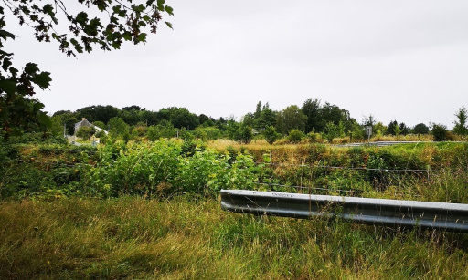 Entretien des herbes sur pont à réglementation prioritaire et mise en place de feux de signalisation clignotants