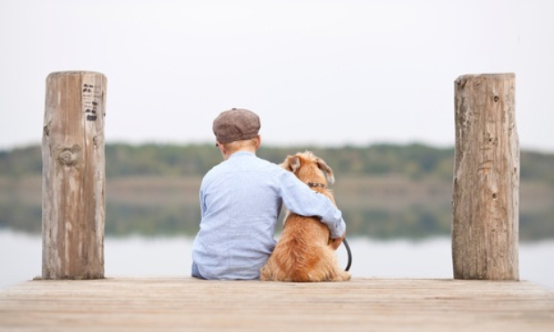 Durcir la loi pour la protection animale