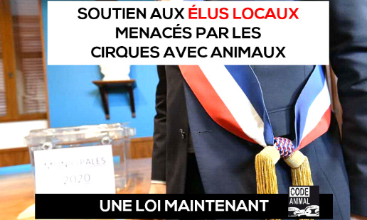 Soutien aux maires et élus locaux menacés par les cirques avec animaux