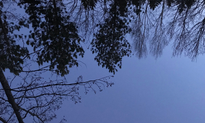 Installation de dos d’âne sur le Domaine Leclerc pour le respect de la limite de circulation à 30km/h