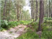 Pétition contre la sablière de La Fontaine Saint Martin
